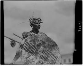Vryheid, 24 March 1947. Traditionally dressed warrior.