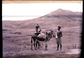 Swaziland, 1933. Swazi boys with a donkey.