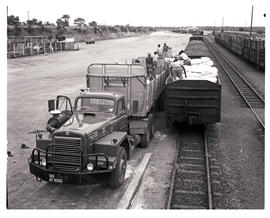 Eastern Transvaal, 1975. SAR International Harvester truck No MT90062 loading fertilizer at railw...