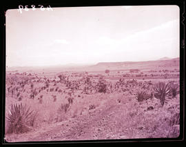 "Ladysmith district, 1938. View looking towards Spioenkop."