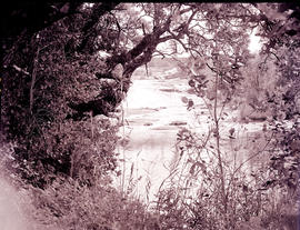 Tzaneen district, 1934. Duiwelskloof, Ramadiepe river.
