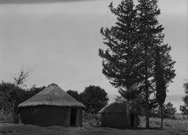 King William's Town district, 1936. AmaXhosa huts.