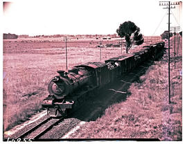 Roodekop district, 1953. SAR Class 15AR with goods train.