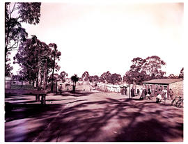 Springs, 1954. KwaThema street.