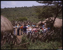 Tribal dancing for tourists in Zulu village.