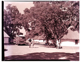 Kruger National Park, 1961. SAR Chevrolet motor coach bus No MT6918 at Satara rest camp.