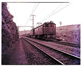 Durban district, 1951. Two SAR Class 1E's with goods train.