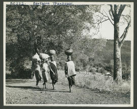 Northern Transvaal, 1946. Bavenda women carrying pots.