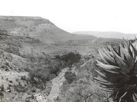 Waterval-Boven, 1938. Downstream view from the top of the Elands River waterfall.