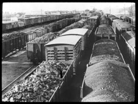 Witbank. SAR coal trains.