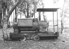 Jansenville district, August 1974. Wren engine 'Little Bess', built by Kerr Stuart in 1919, as di...