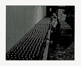 Paarl, 1945. KWV distillery. Workers next to rows of bottles.