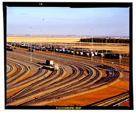 Bapsfontein, July 1984. Sentrarand marshalling yard. [Ivan Naude]