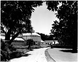 Port Elizabeth, 1950. St George's Park conservatory.