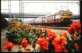 Johannesburg, March 1985. SAR type 5M2A suburban train at Braamfontein. [CF Gunter]