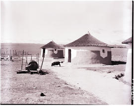 Transkei, 1951. Transkeian Kraal
