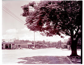 "Nelspruit, 1946. Street."