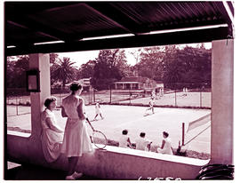 "Uitenhage, 1954. Municipal tennis courts at Magennis park."