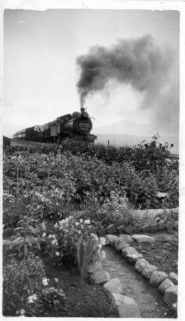 Steam locomotive with 'Geseënde Kersmis' on front with station garden in the foreground. (Lund co...