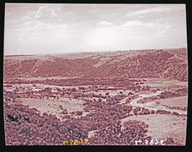"Knysna district, 1936. River valley."