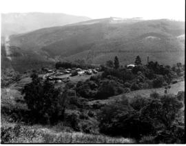Tzaneen district, 1953. Magoebaskloof saw mill.