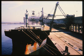 Richards Bay, September 1984. Richards Bay Harbour. [T Robberts]