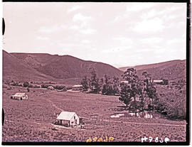 "Knysna district, 1936. Farmhouses."