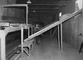 Johannesburg, August 1952. Conveyor belt and chutes in postal tunnel.