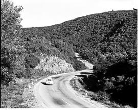 Port Elizabeth district, 1961. Van Stadens pass.