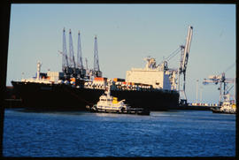 Port Elizabeth, September 1984. 'Ronsard' RoRo ship docking with two SAR tugs in Port Elizabeth H...