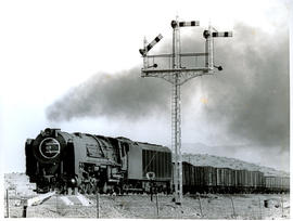 Prince Albert district, 1960. SAR Class 25 with goods train approaching Prince Albert Road statio...