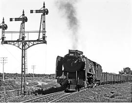 Kirkwood district, 1968. SAR Class 15F with goods train near Addo. Note chimney cowl to minimise ...