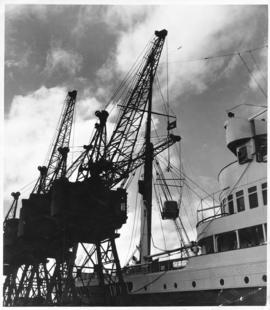 Port Elizabeth. Cranes and ship in harbour.