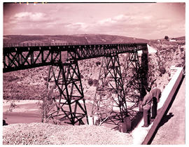 "Mossel Bay district, 1946. Gourits river bridge."