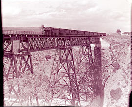 "Mossel Bay district, 1946. Train on Gourits river bridge."