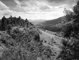 Tzaneen district, 1951. Magoebaskloof, view into valley.