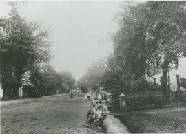 Stellenbosch, circa 1900. Plein Street.