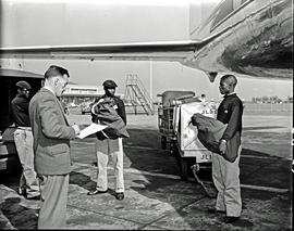 Johannesburg, 1957. Jan Smuts airport. SAA Douglas DC-7B, loading mail bags.