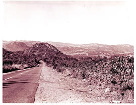 "Nelspruit district, 1971. Main road."