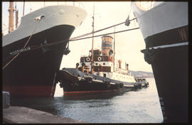 Durban. SAR tug 'T Eriksen; in Durban Harbour.
