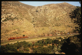 Tulbagh district,1984. Goods train headed by three SAR Class 5E Srs 1's in Tulbaghkloof.
