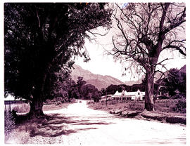 "Ceres district, 1952. Gravel road passing farmstead."