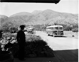 Barberton, 1954. SAR Albion buses arriving at station.
