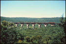Pietermaritzburg district, 1973. Passenger train on concrete arch bridge.