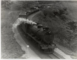 Durban, 1951. SAR Class 14R with goods train descending Botha 's Hill.