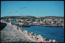 Mossel Bay, April 1979. Mossel Bay Harbour. [Jan Hoek]