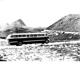 Hermanus district, 1949. SAR  Canadian Brill bus No MT6026 at Hangklip estates.