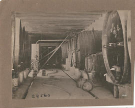 Interior of wine cellar.