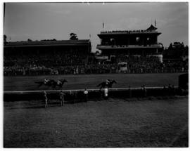 Johannesburg, 1 April 1947. Royal family at race course, horses racing past the grandstand.