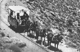 Okiep - Port Nolloth narrow gauge railway. Circa 1885. Senior officers' coach by mules on its way...